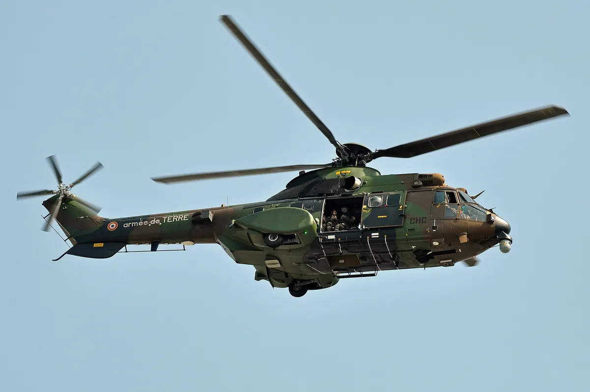 Hélicoptère Cougar de l'armée de Terre en vol, vu de dessous, lors d'un défilé